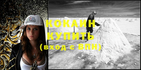 стаф Аркадак
