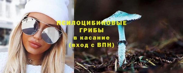 стаф Аркадак