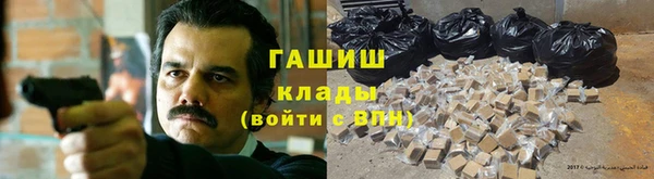 стаф Аркадак