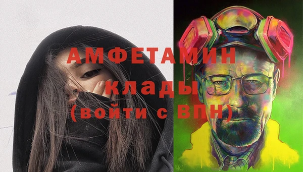 стаф Аркадак