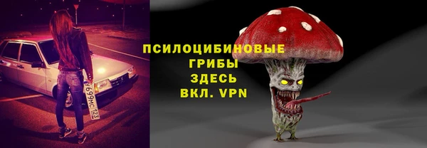 стаф Аркадак