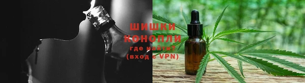 PSILOCYBIN Арсеньев
