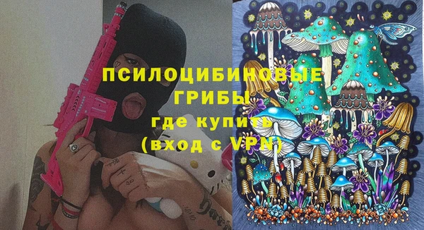 стаф Аркадак
