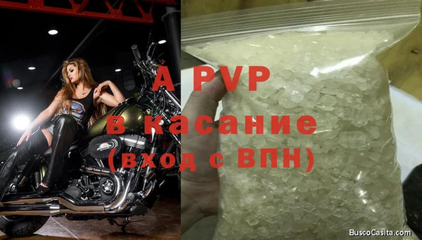 PSILOCYBIN Арсеньев