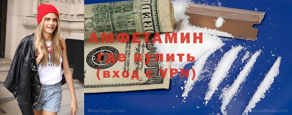 стаф Аркадак