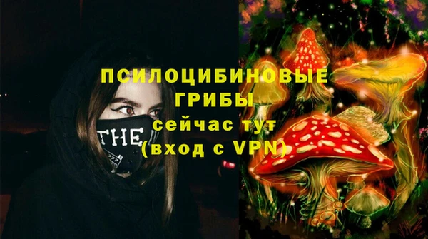 стаф Аркадак