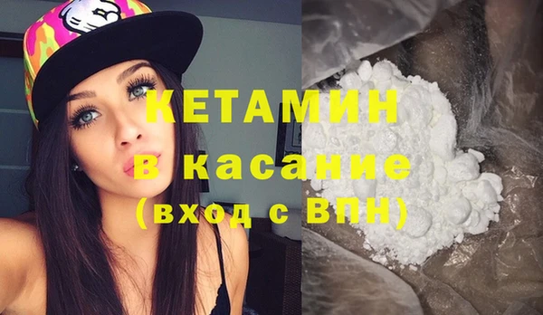 стаф Аркадак
