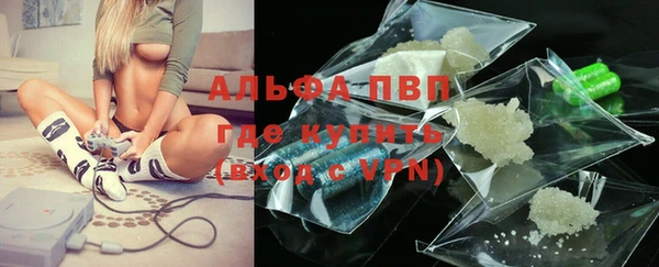 стаф Аркадак