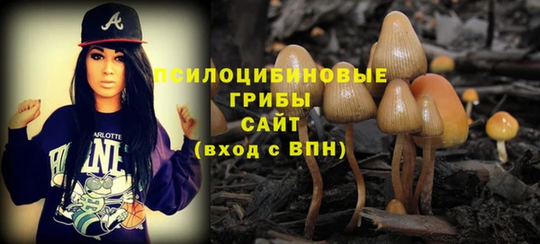 стаф Аркадак