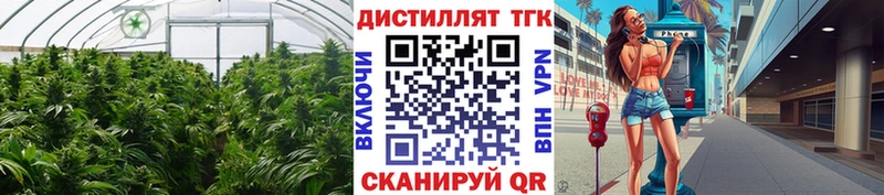 купить наркотик  Петухово  ТГК вейп 