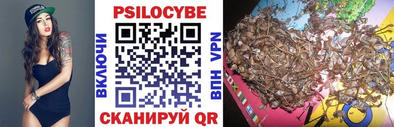 даркнет сайт Петухово Псилоцибиновые грибы GOLDEN TEACHER